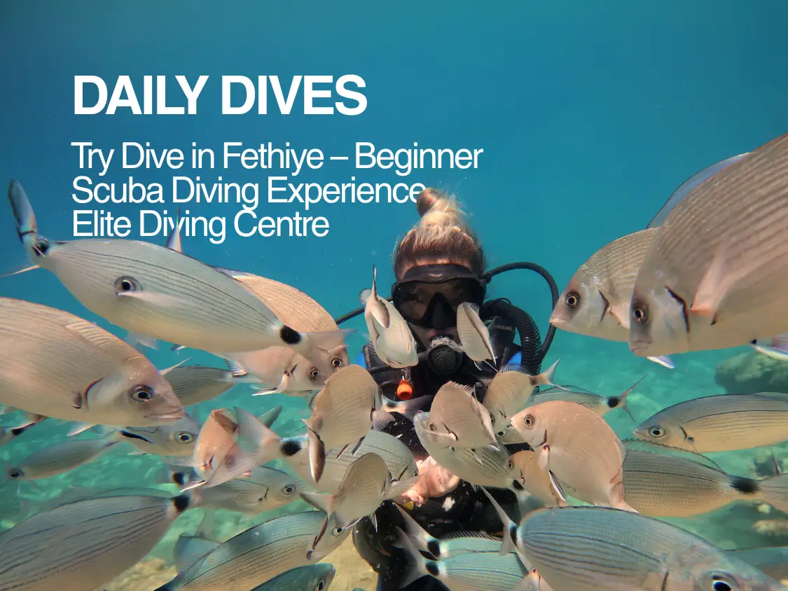 Try Dive in Fethiye – Beginner Scuba Diving Experience | Elite Diving Centre